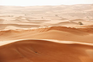 DUBAI-DESERT