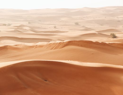 dubai desert